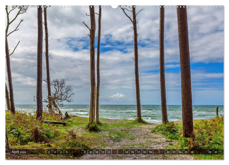 Impressionen von der Ostsee Fischland-Darß-Zingst (CALVENDO Wandkalender 2024)