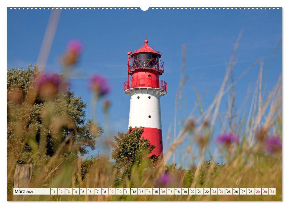 Schleswig-Flensburg (CALVENDO Premium Wandkalender 2024)