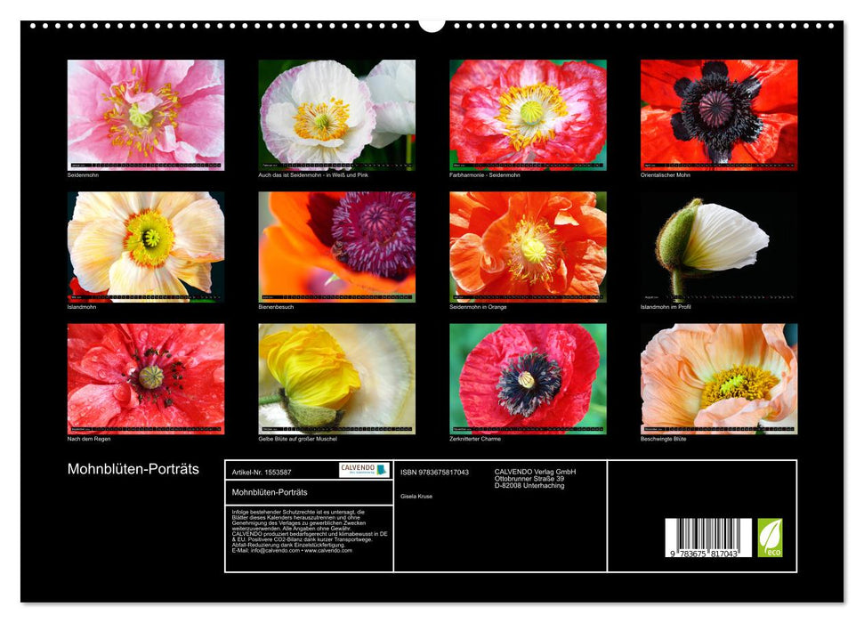 Mohnblüten-Porträts (CALVENDO Premium Wandkalender 2024)