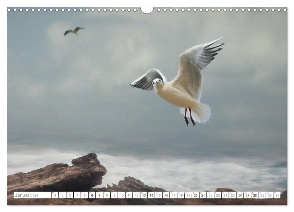 Bezaubernde Vogelwelt (CALVENDO Wandkalender 2024)