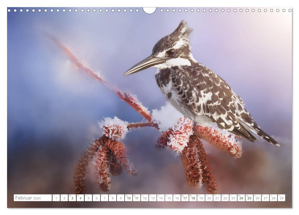 Bezaubernde Vogelwelt (CALVENDO Wandkalender 2024)