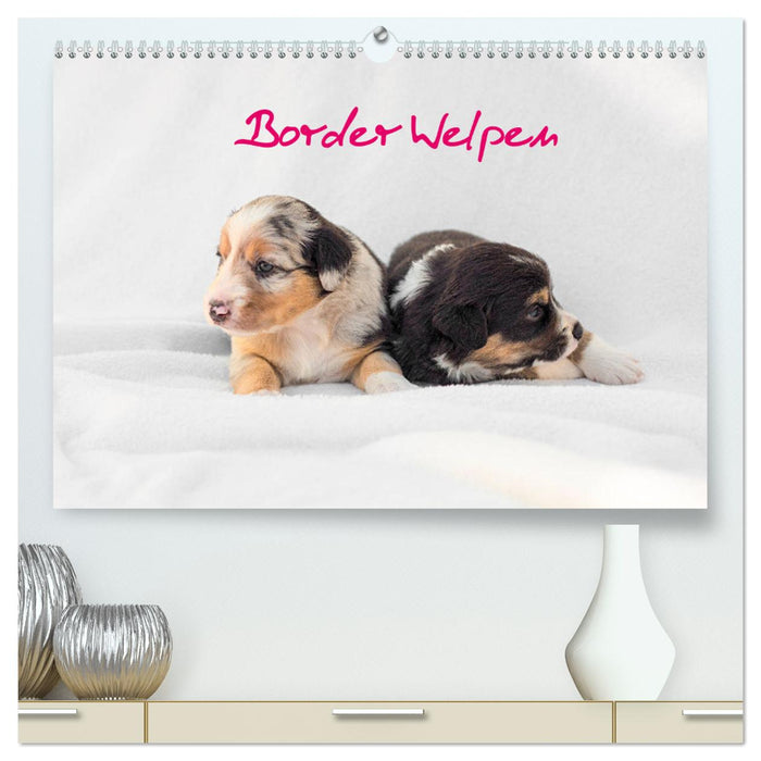 Border Welpen (CALVENDO Premium Wandkalender 2024)