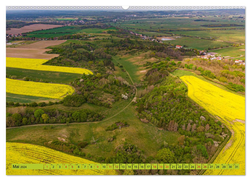 Schorfheide vu d'en haut (calendrier mural CALVENDO 2024) 