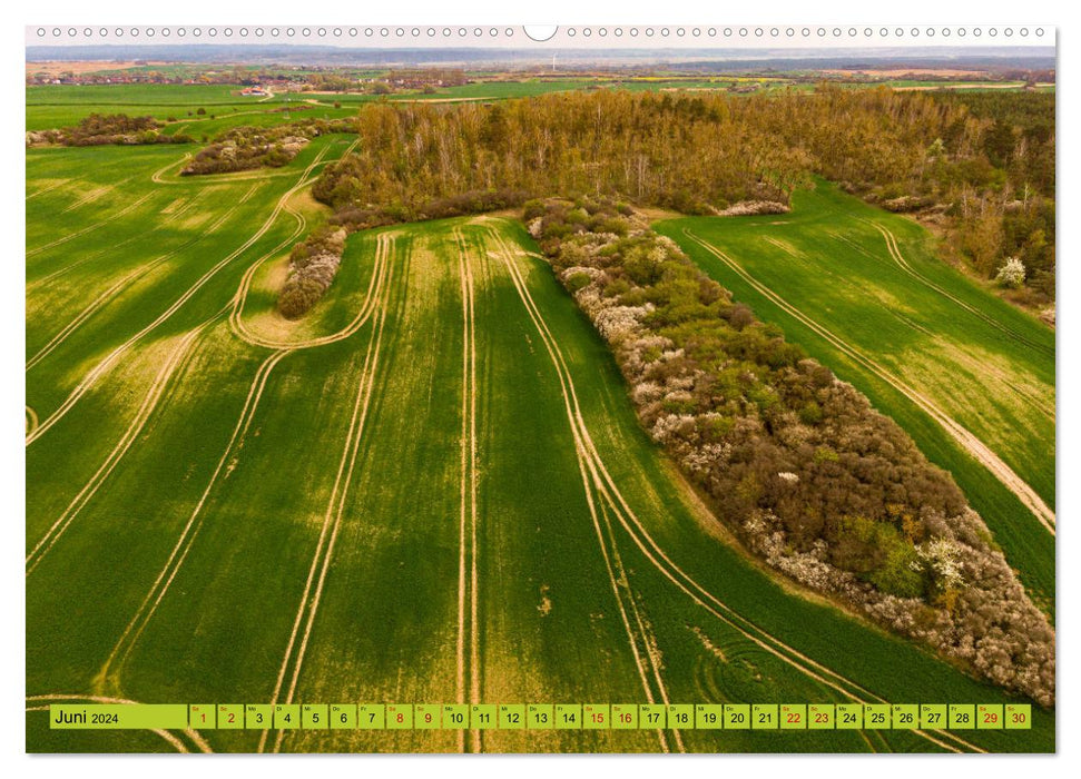 Schorfheide vu d'en haut (calendrier mural CALVENDO 2024) 