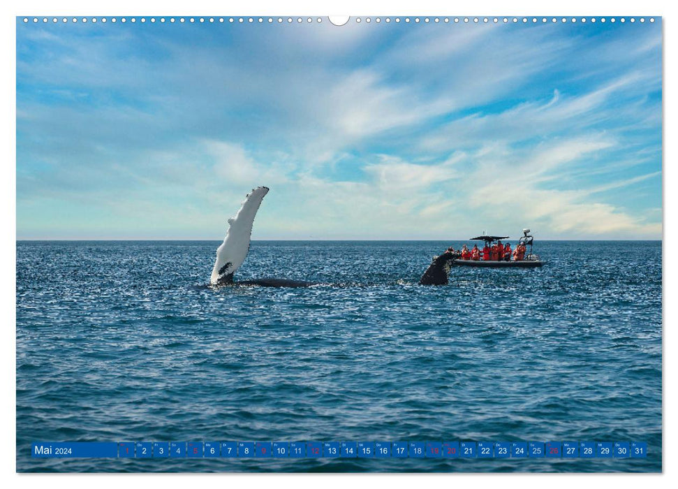 KANADA - Der maritime Osten (CALVENDO Premium Wandkalender 2024)