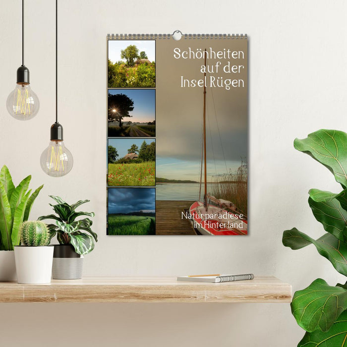 Schönheiten auf der Insel Rügen (CALVENDO Wandkalender 2024)