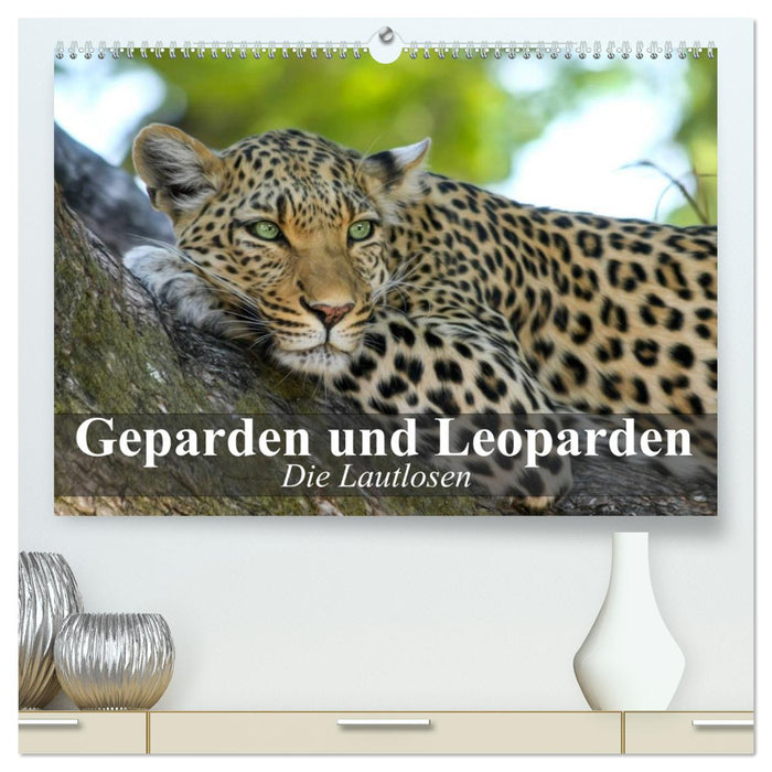 Die Lautlosen. Geparden und Leoparden (CALVENDO Premium Wandkalender 2024)