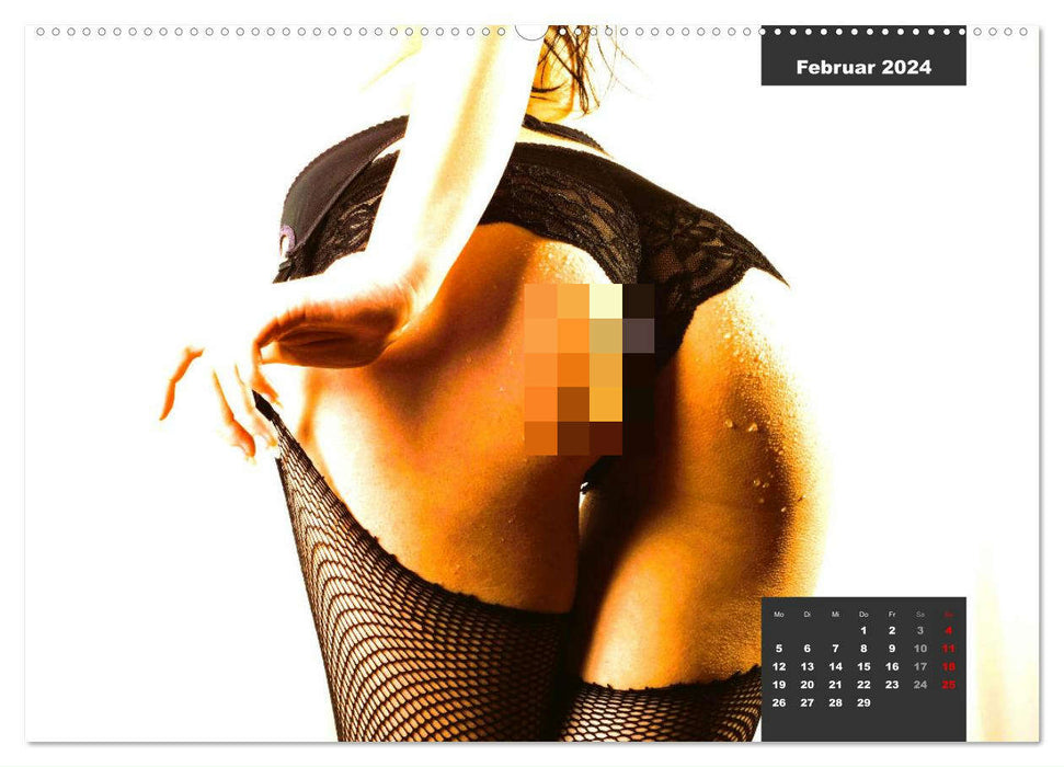 Sexy. Sinnlich. Reizend. Frauen in erotischen Dessous (CALVENDO Premium Wandkalender 2024)