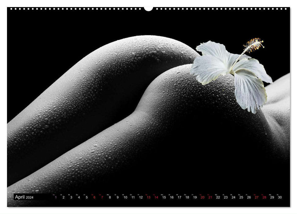 Erotik Art etwas Blumig POMBASTISCH (CALVENDO Premium Wandkalender 2024)