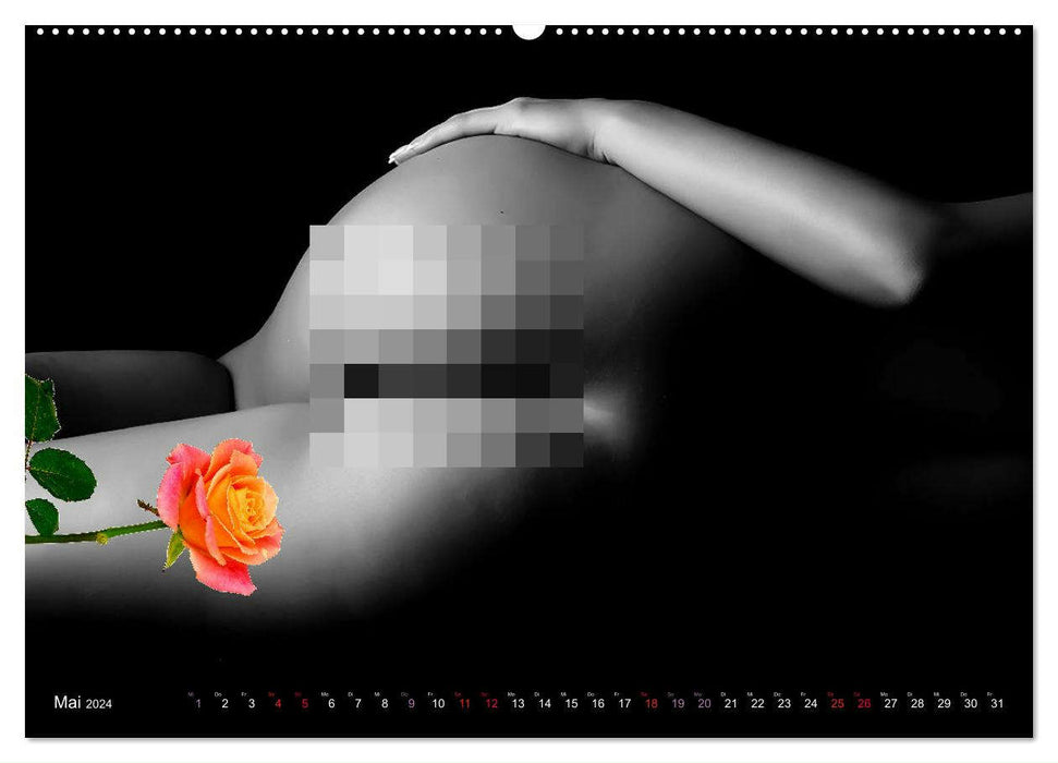 Erotik Art etwas Blumig POMBASTISCH (CALVENDO Wandkalender 2024)