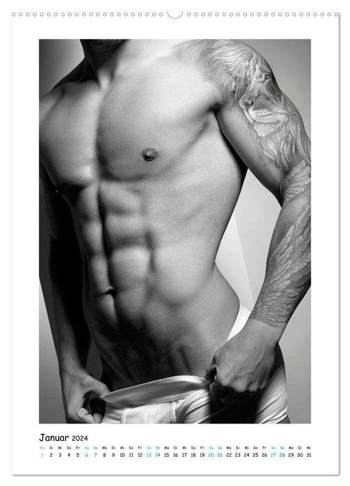 Männer... in underwear deluxe (CALVENDO Premium Wandkalender 2024)