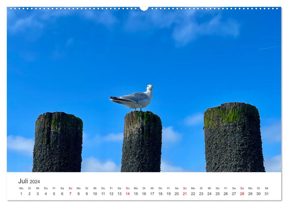 Wangerooge: Ganz nah (CALVENDO Premium Wandkalender 2024)