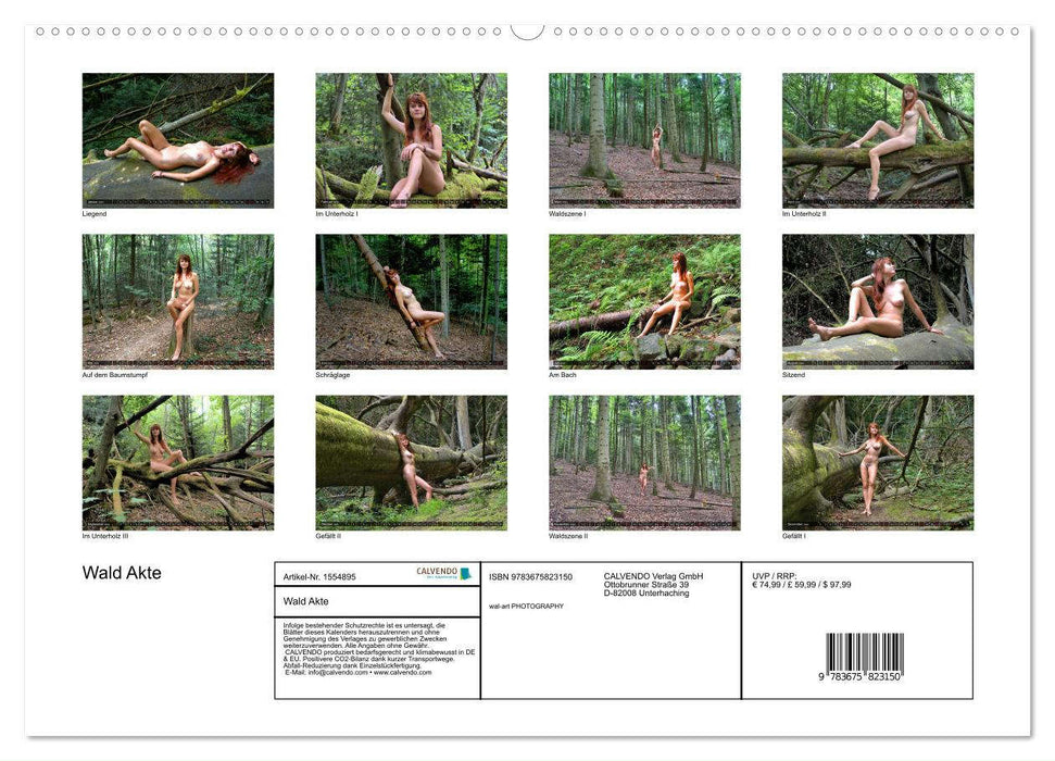 Wald Akte (CALVENDO Premium Wandkalender 2024)