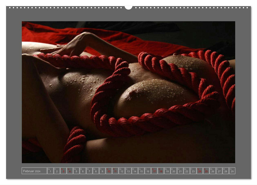 Roter Faden der Erotik (CALVENDO Wandkalender 2024)
