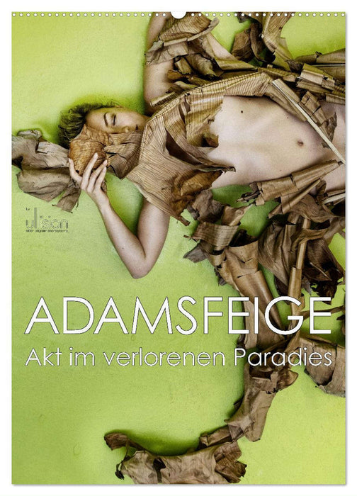 Adam's Fig - Nu dans le paradis perdu (Calendrier mural CALVENDO 2024) 