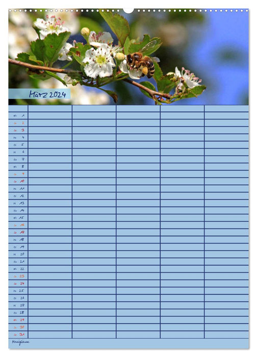 Planificateur familial d'animaux (Calvendo Premium Wall Calendar 2024) 