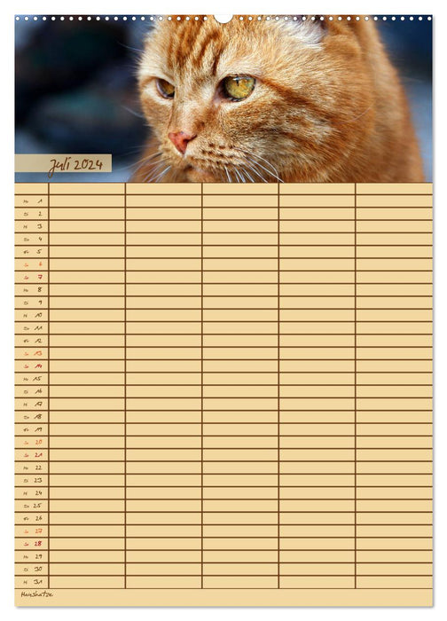Planificateur familial d'animaux (Calvendo Premium Wall Calendar 2024) 
