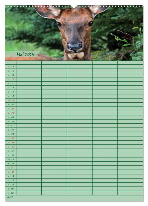Planificateur familial d'animaux (calendrier mural CALVENDO 2024) 