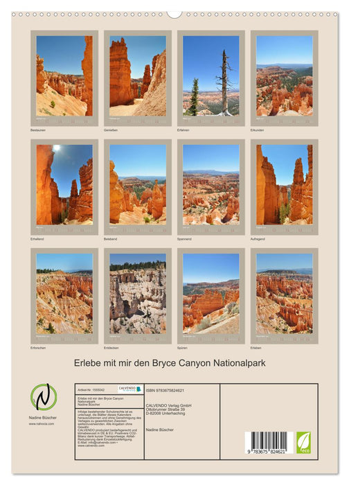 Erlebe mit mir den Bryce Canyon Nationalpark (CALVENDO Premium Wandkalender 2024)