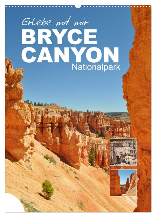 Découvrez le parc national de Bryce Canyon avec moi (calendrier mural CALVENDO 2024) 