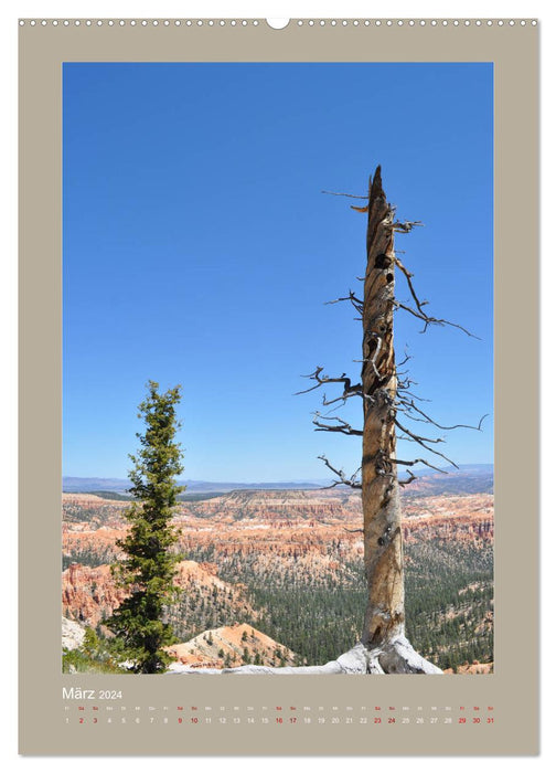 Découvrez le parc national de Bryce Canyon avec moi (calendrier mural CALVENDO 2024) 