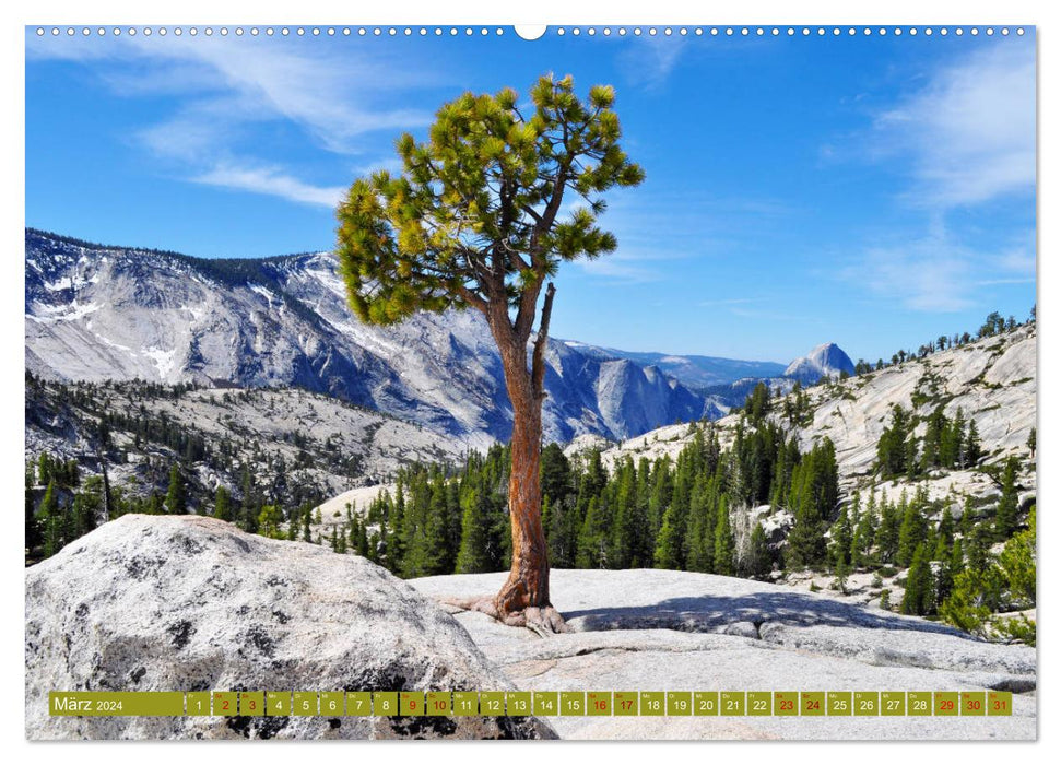 Découvrez le paysage du parc national de Yosemite avec moi (calendrier mural CALVENDO 2024) 
