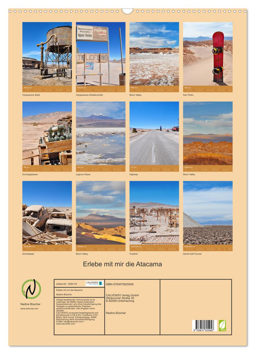 Vivez l'Atacama avec moi (calendrier mural CALVENDO 2024) 