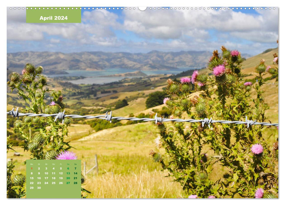 Découvrez avec moi les merveilles naturelles de la Nouvelle-Zélande et de l'île du Sud (Calendrier mural CALVENDO Premium 2024) 