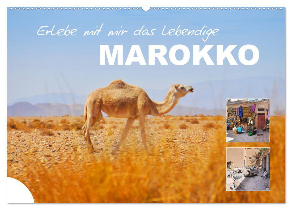 Erlebe mit mir das lebendige Marokko (CALVENDO Wandkalender 2024)