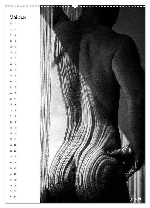 Männer AKT abstrakt (CALVENDO Wandkalender 2024)