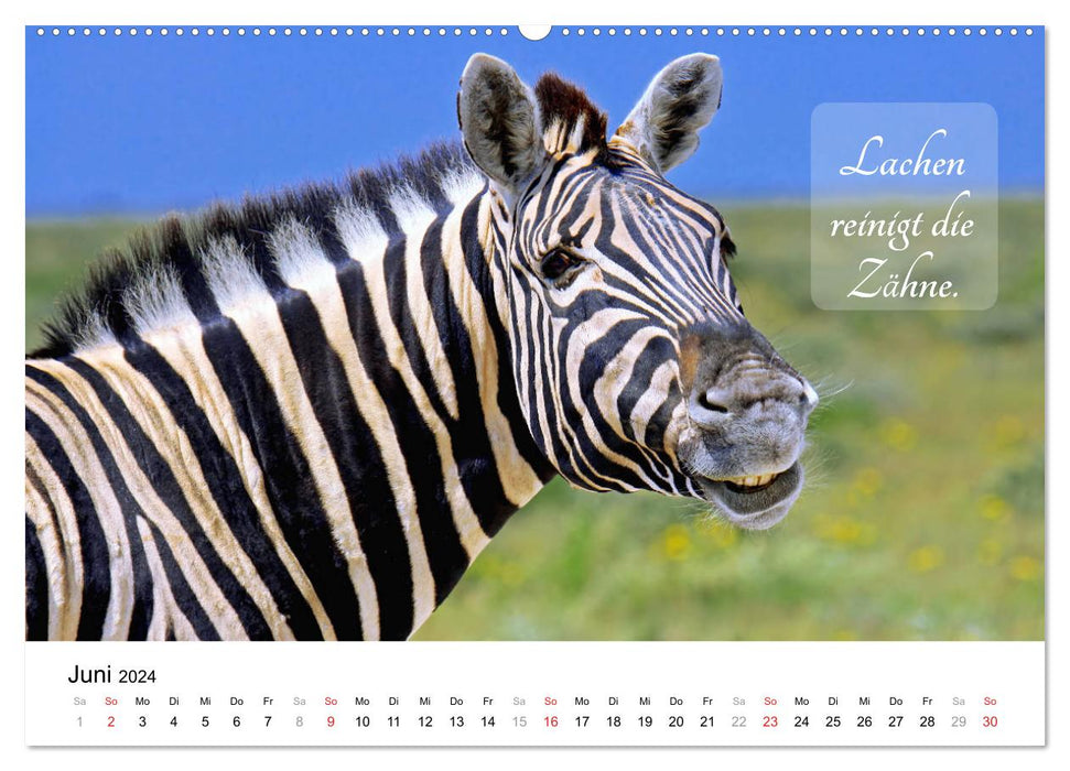 AFRIKA - Glück findet, wer es sucht (CALVENDO Premium Wandkalender 2024)