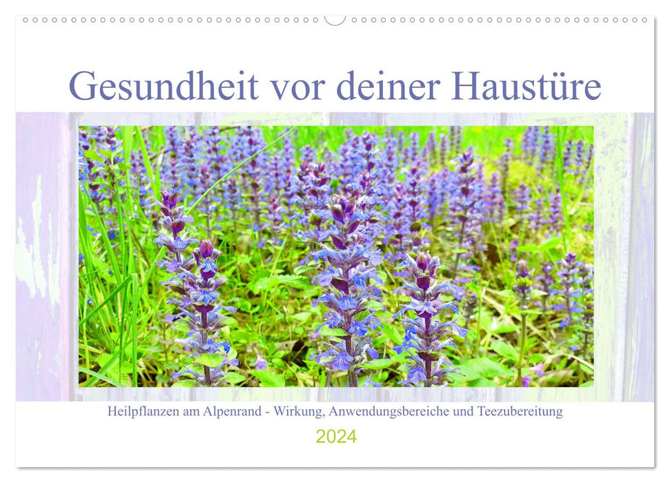 Gesundheit vor deiner Haustüre - Heilpflanzen am Alpenrand - Wirkung, Anwendungsbereiche und Teezubereitung (CALVENDO Wandkalender 2024)
