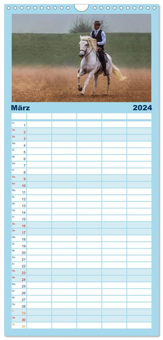 Weiße Pferde der Camargue in Bayern (CALVENDO Familienplaner 2024)