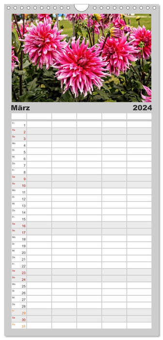 Zauberhafte Dahlienblüten (CALVENDO Familienplaner 2024)