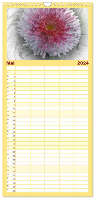 Blüten im Fraktal (CALVENDO Familienplaner 2024)