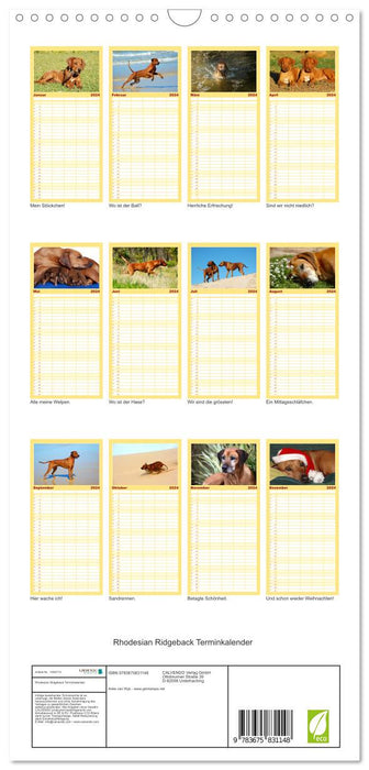 Rhodesian Ridgeback Terminkalender (CALVENDO Familienplaner 2024)