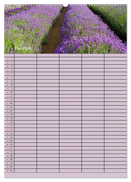 Naturzauber Lavendel - Familienplaner (CALVENDO Premium Wandkalender 2024)