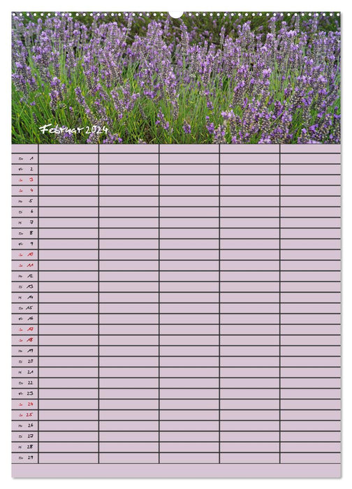 Naturzauber Lavendel - Familienplaner (CALVENDO Wandkalender 2024)