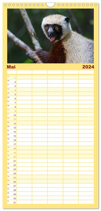 Madagaskar - Insel der Lemuren (CALVENDO Familienplaner 2024)