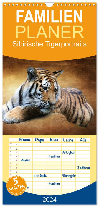 Sibirische Tigerportraits (CALVENDO Familienplaner 2024)