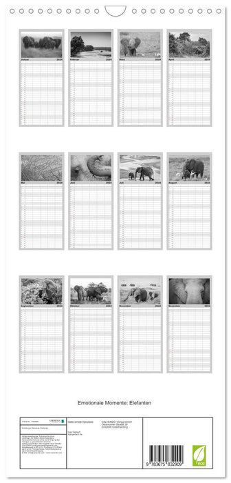 Emotionale Momente: Elefanten in black & white (CALVENDO Familienplaner 2024)