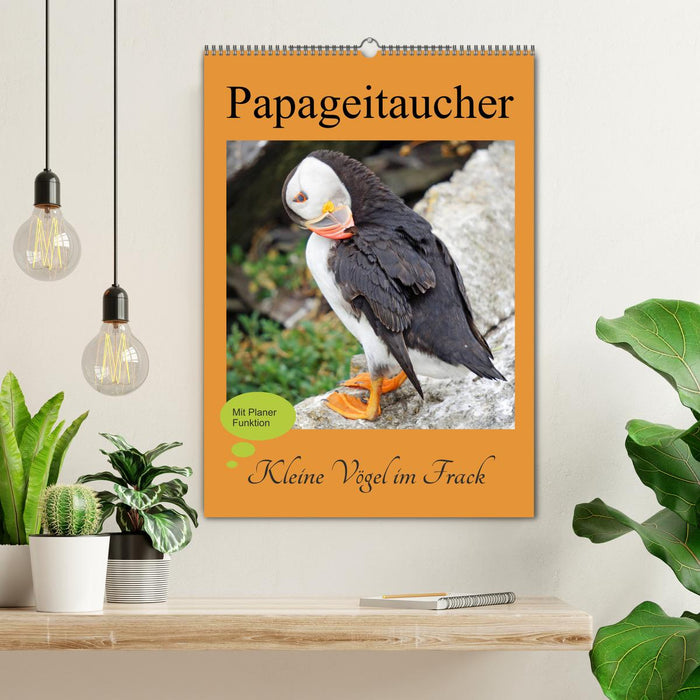 Papageitaucher - Kleine Vögel im Frack (CALVENDO Wandkalender 2024)