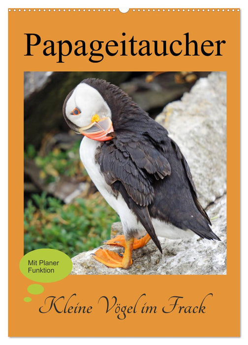 Papageitaucher - Kleine Vögel im Frack (CALVENDO Wandkalender 2024)