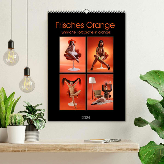 Frisches Orange (CALVENDO Wandkalender 2024)