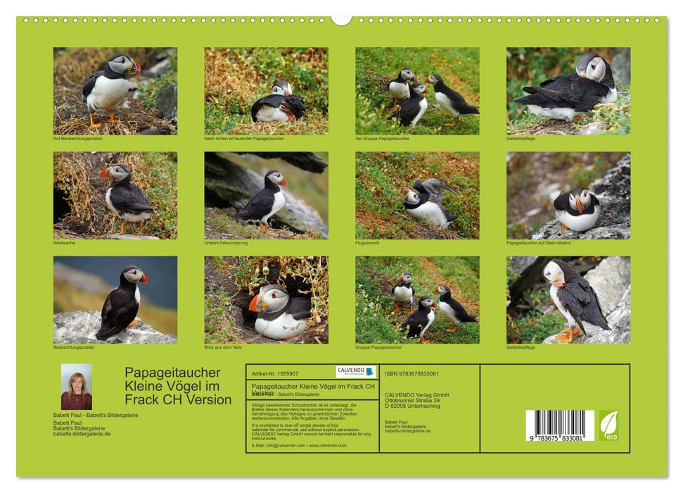 Papageitaucher Kleine Vögel im Frack CH Version (CALVENDO Premium Wandkalender 2024)