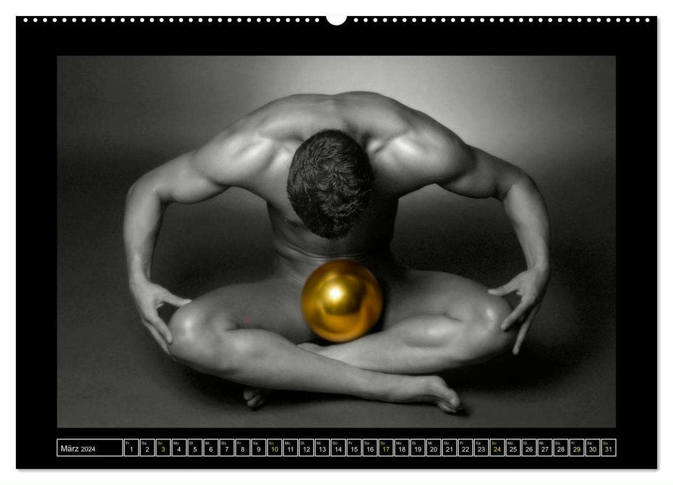 Golden Ball - Männerakte im Querformat (CALVENDO Premium Wandkalender 2024)