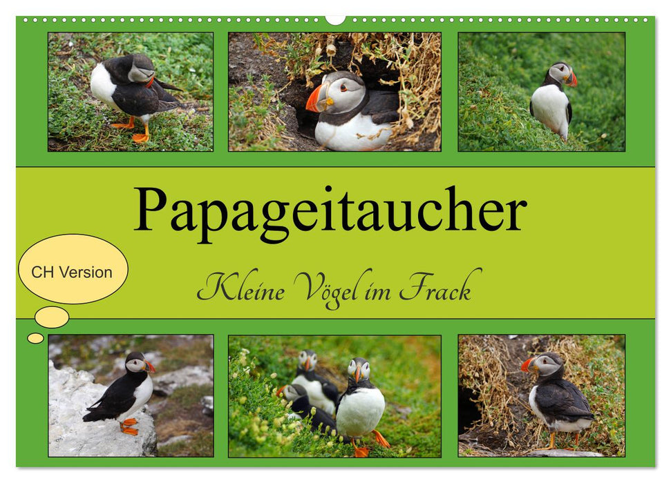 Papageitaucher Kleine Vögel im Frack CH Version (CALVENDO Wandkalender 2024)