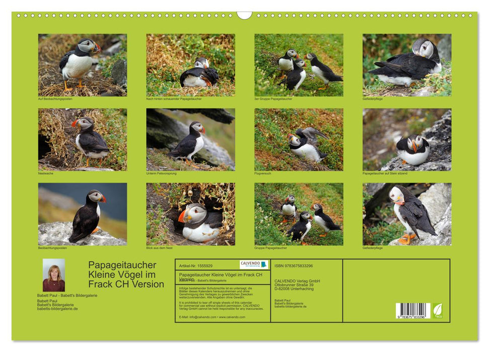 Papageitaucher Kleine Vögel im Frack CH Version (CALVENDO Wandkalender 2024)