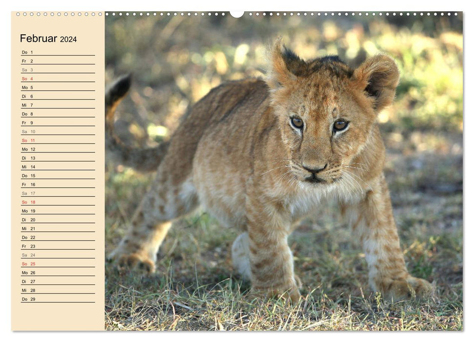 Afrikas wildes Kinderzimmer (CALVENDO Premium Wandkalender 2024)