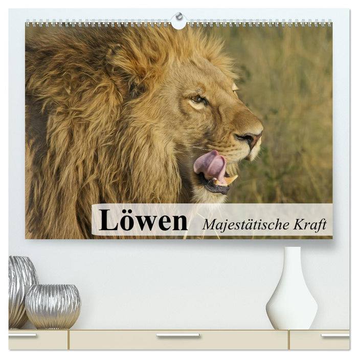 Löwen. Majestätische Kraft (CALVENDO Premium Wandkalender 2024)